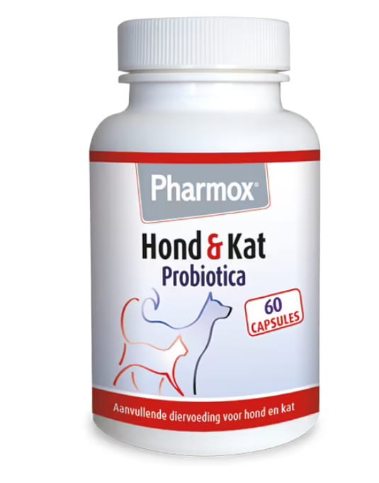 _original_PHARMO-Probiotica-probiotyk-dla-psow-i-kotow-60-kapsulek_[4159]_0c20274c9e34.jpg