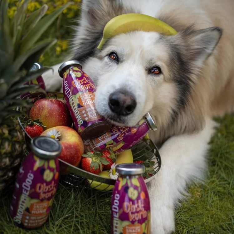 SmoothieDog-Obstkorb-owocowe-smoothie-dla-psa-250ml_%5B4347%5D_780.jpg