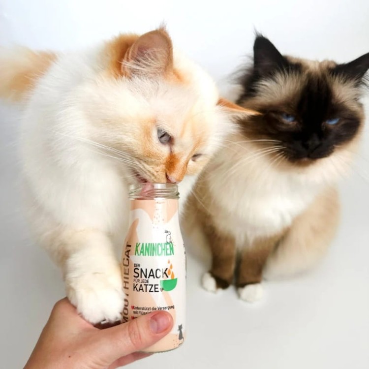 SMOOTHIE-CAT-Kaninchen-smoothie-dla-kota-krolik-150g_%5B4629%5D_780.jpg