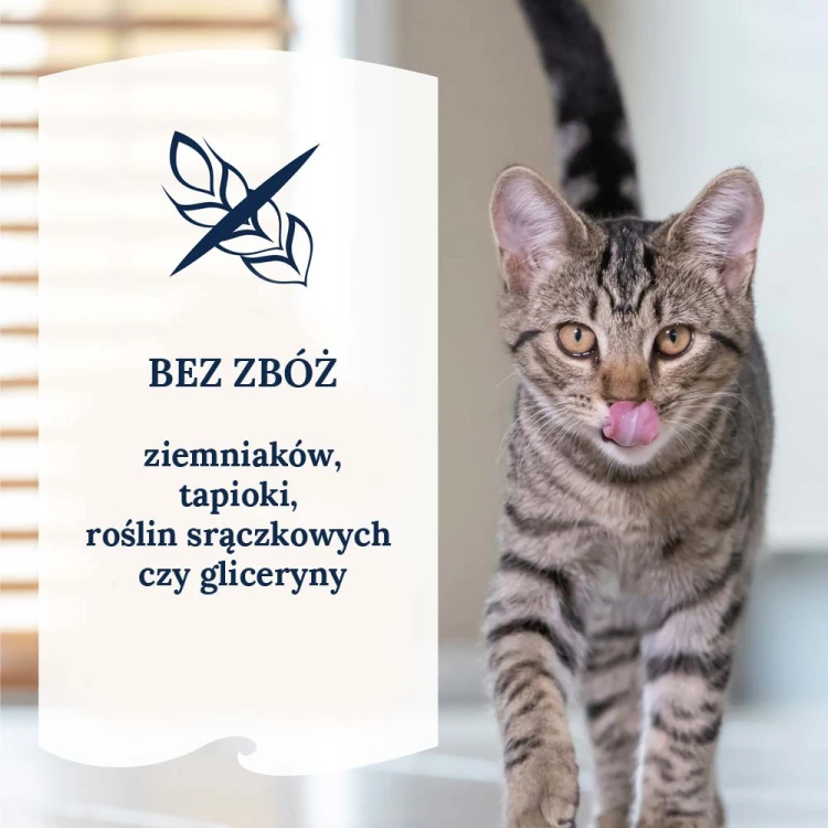 sklad-karmy-karma-mokra-dla-kota-ziwi-peak-bez-zboz.jpg