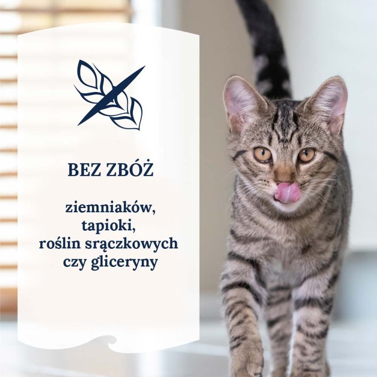 sklad-karmy-karma-mokra-dla-kota-ziwi-peak-bez-zboz.jpg