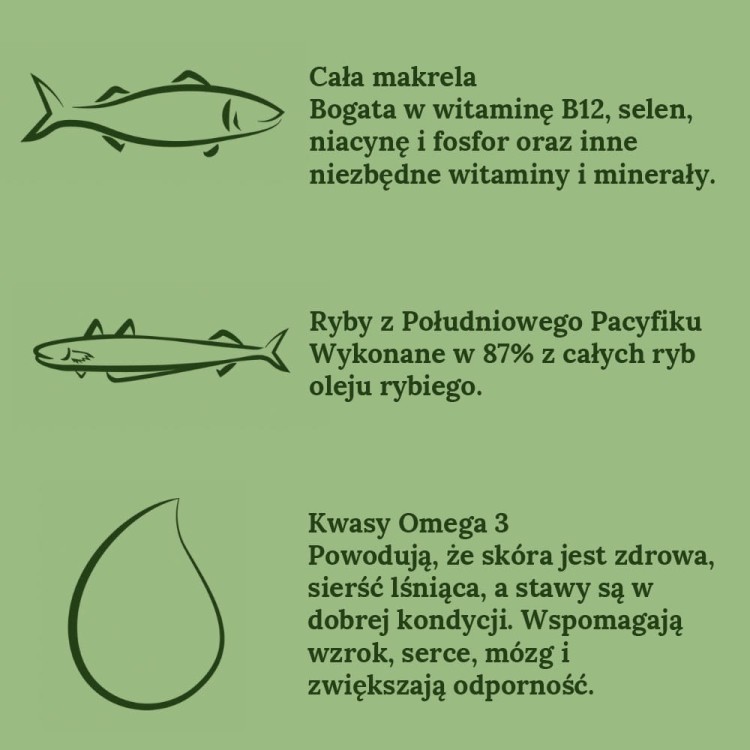 sklad-karmy-karma-sucha-dla-kota-ziwi-peak-steam-dried-ryby-pacyfik-skladniki.jpg