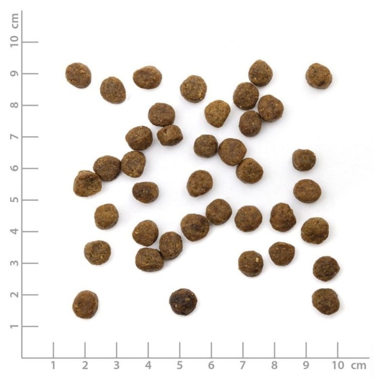WILDES-LAND-CAT-Junior-Huhn-kurczak-z-warzywami-i-ziolami-dla-kociat-400g_%5B4514%5D_780.jpg
