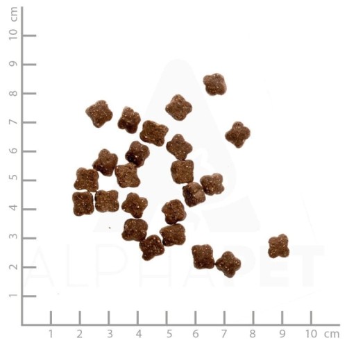 WILDES-LAND-CAT-Huhn-Lachs-kurczak-i-losos-z-warzywami-i-ziolami-400g_%5B4526%5D_780.jpg