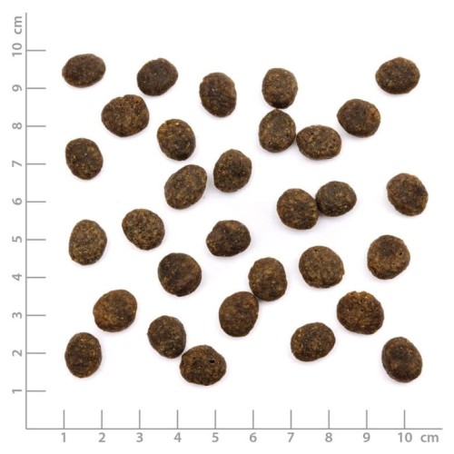 WILDES-LAND-CAT-Forelle-Lachs-pstrag-i-losos-z-warzywami-i-ziolami-1-2kg_%5B4528%5D_780.jpg