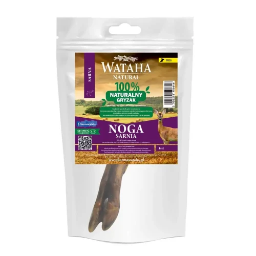 noga-sarnia.webp