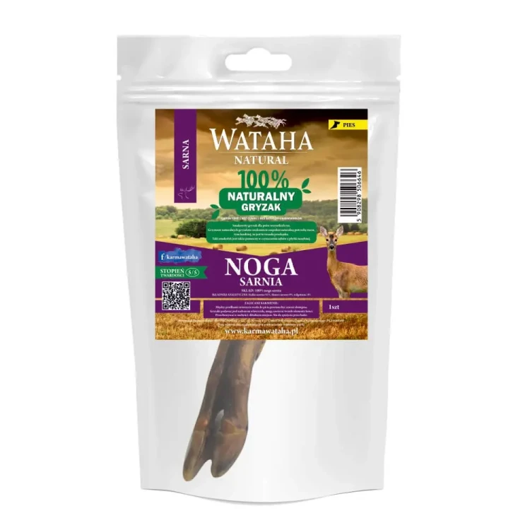 noga-sarnia.webp