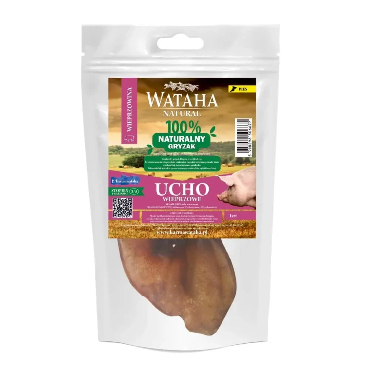 ucho-wieprzowe-1-szrt.webp
