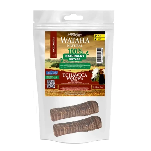 tchawica-wolowa-krotka.webp