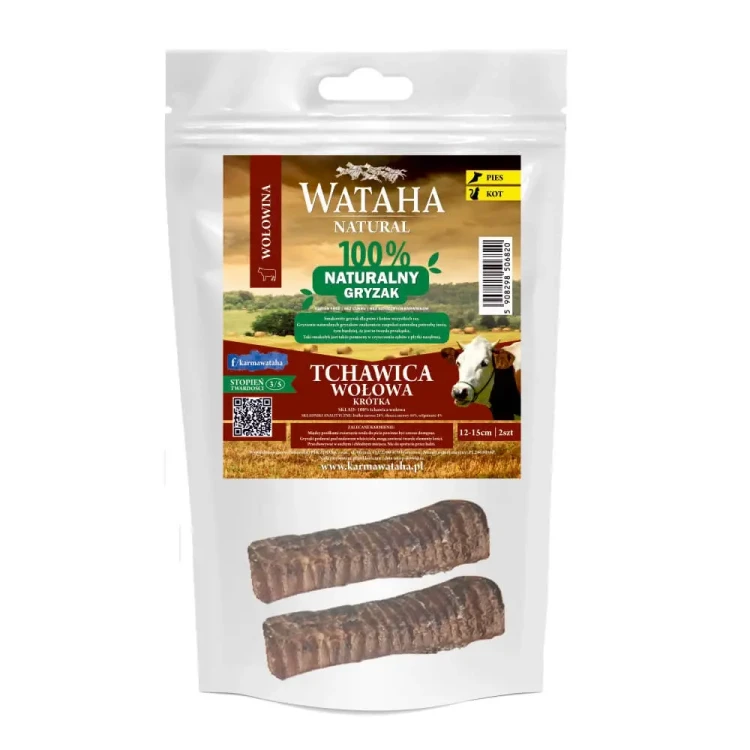 tchawica-wolowa-krotka.webp