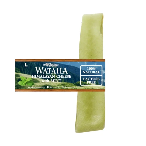 mint-L-serek.webp