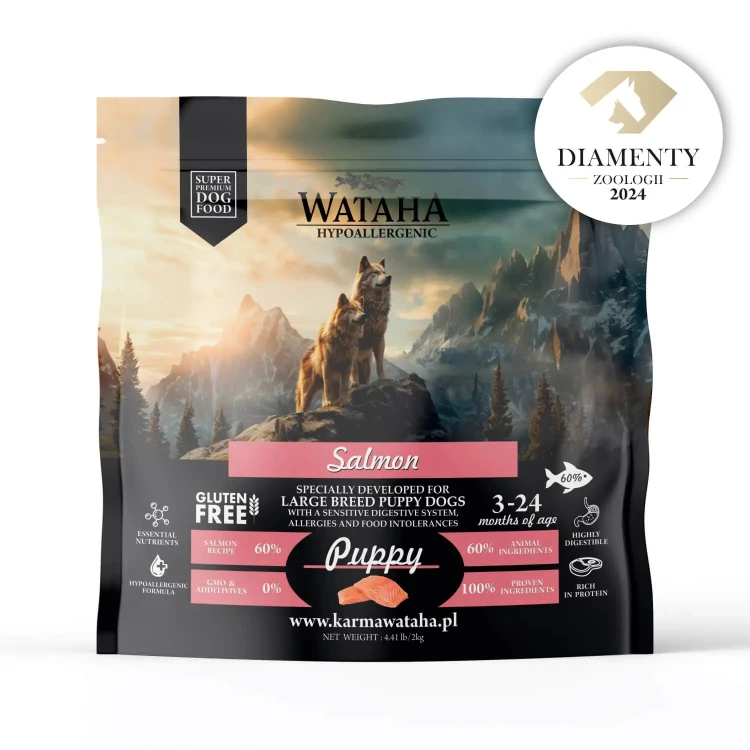 salmon-2kg.webp