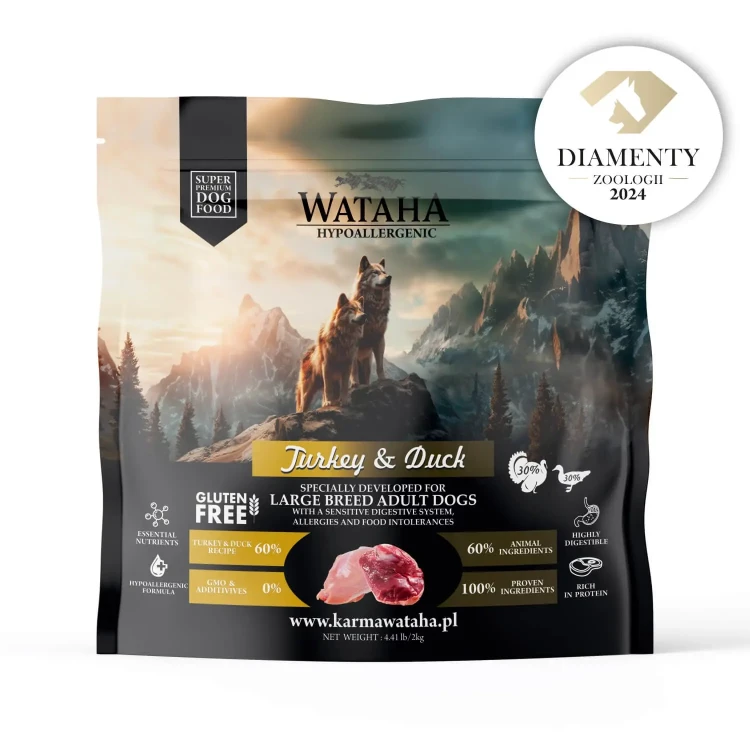 large-2kg.webp