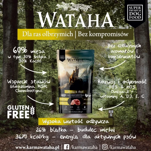 indyk-infografika.webp