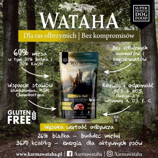 indyk-infografika.webp
