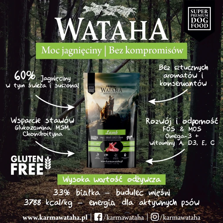 jagniecina-infografika-small.webp