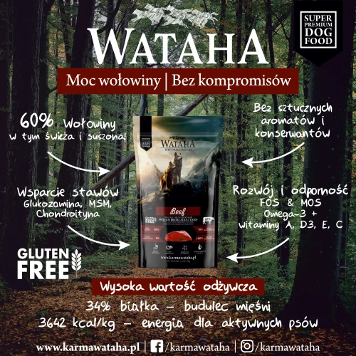 wolowina-infografika.webp