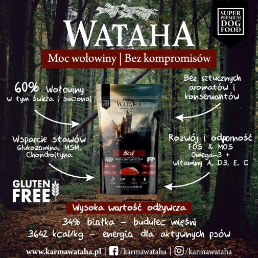 wolowina-infografika.webp