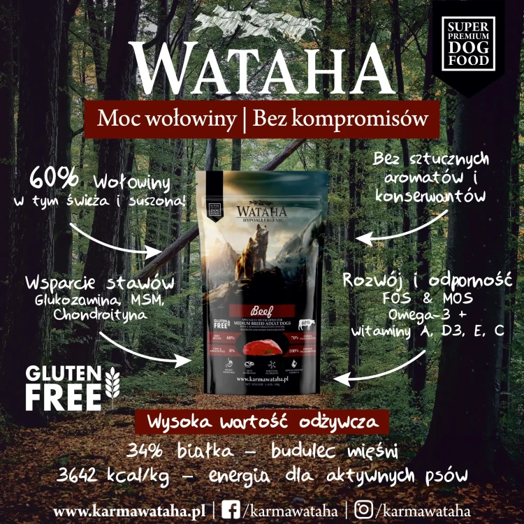 wolowina-infografika.webp