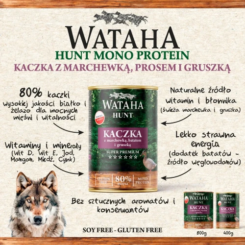 kaczka-info.webp