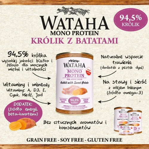 infografika-krolik.webp