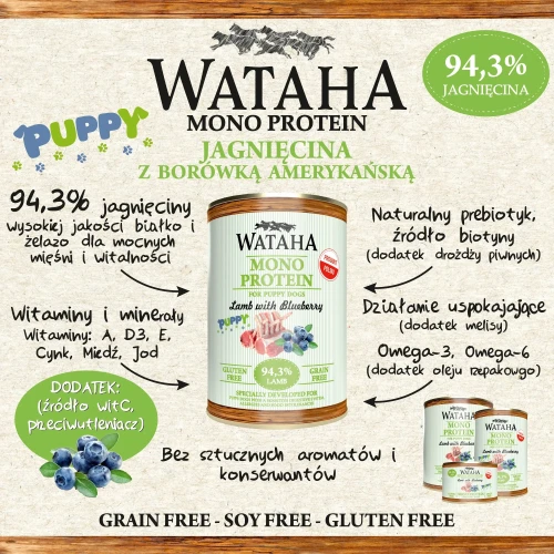 infografika-jagniecina-puppy.webp