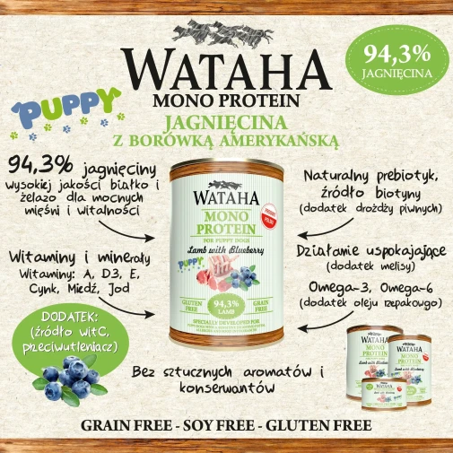 infografika-jagniecina-puppy.webp