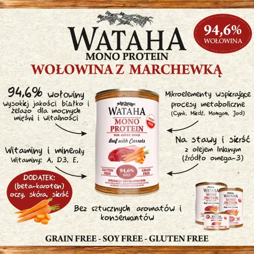 infografika-wolowina.webp