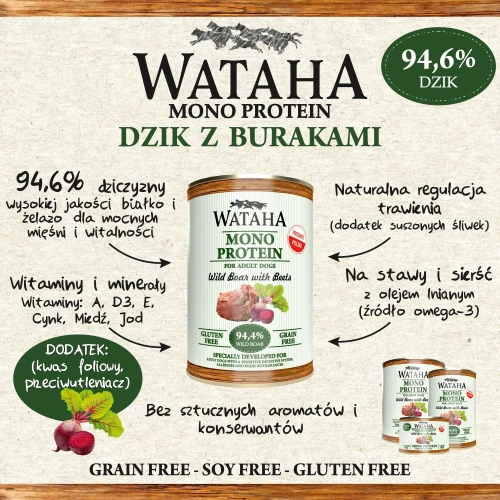 infografika-dzik.webp