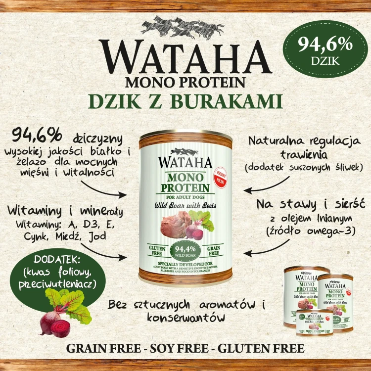infografika-dzik.webp
