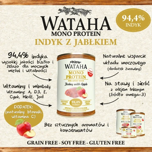 infografika-indyk.webp