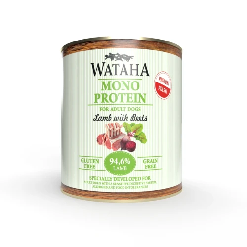 2d930242ced324fc6e8e05546ba04077-1.png.webp