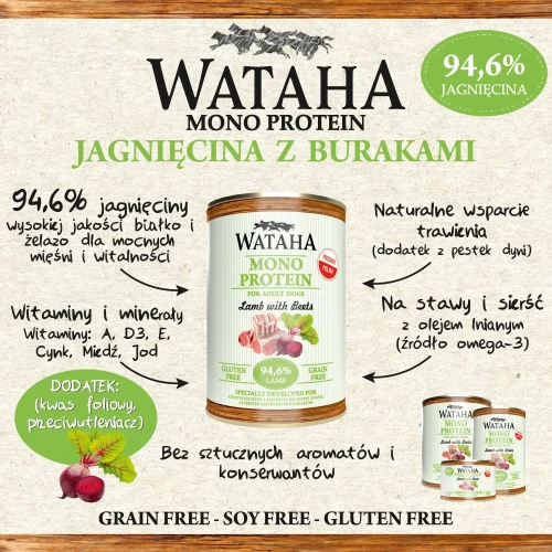 infografika-jagniecina.webp