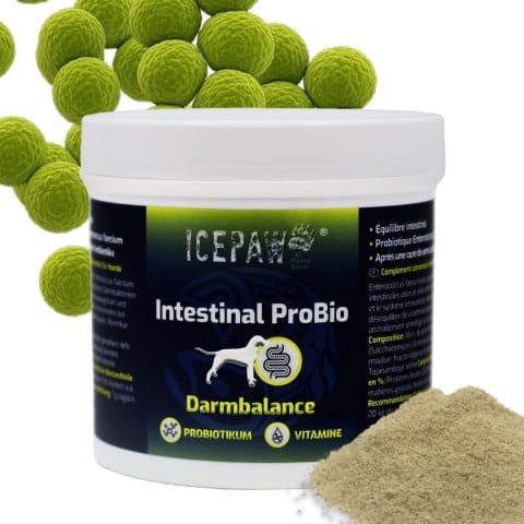 ICEPAW-Intestinal-ProBio-probiotyk-dla-psa-90g_%5B4657%5D_480.jpg