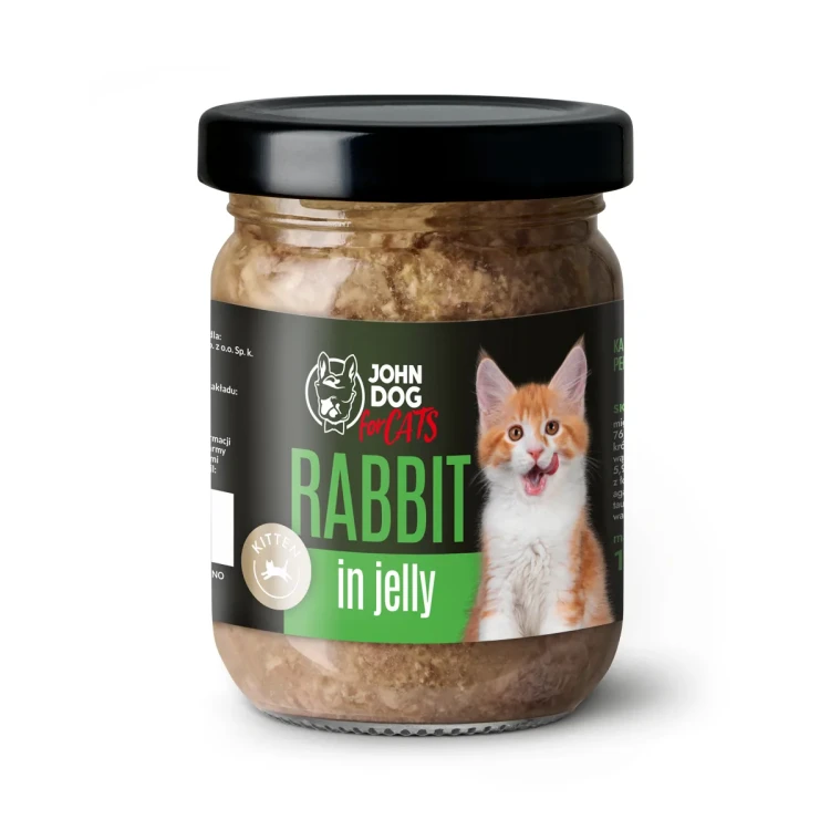 jd_cats_jelly_kitten_rabbit-jpg.webp