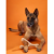 betterbone-kosc-do-gryzienia-large-hard-beef.jpg