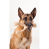 betterbone-kosc-do-gryzienia-large-medium-beef.jpg