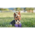 betterbone-kosc-do-gryzienia-mini-hard-classic.jpg