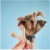 betterbone-kosc-do-gryzienia-mini-soft-beef.jpg