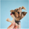 betterbone-kosc-do-gryzienia-mini-soft-beef.jpg