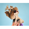betterbone-kosc-do-gryzienia-mini-soft-beef.jpg