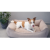 betterbone-kosc-do-gryzienia-small-soft-classic.jpg