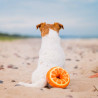 buba-donut-pomaranczowy-12cm-3570.jpg