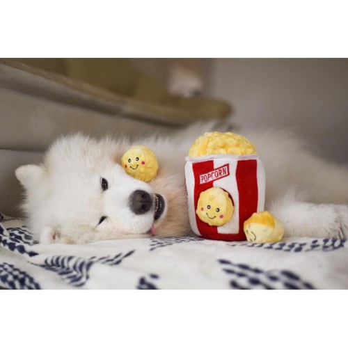 zippypaws-pluszowa-norka-kubelek-popcornu-zp860.jpg