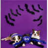 zippypaws-pluszowy-pajak-xl-fioletowy-zp663.jpg