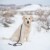 zippypaws-smycz-sznurowa-15m-czarna-zp373.jpg
