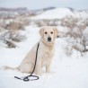 zippypaws-smycz-sznurowa-15m-czarna-zp373.jpg