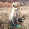 zippypaws-smycz-sznurowa-15m-turkusowa-zp374.jpg