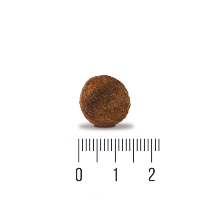 quattro-adult-no-grain-all-breed-energy-duck-bezzbozowa-karma-dla-psa-12kg.jpg