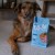 WOW-DOG-MINI-Huhn-kurczak-ze-szpinakiem-i-zurawina-dla-psow-malych-ras-1kg_%5B4917%5D_1200.jpg